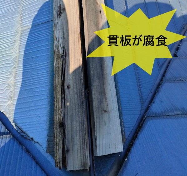 貫板が腐食している　棟板金飛散の原因